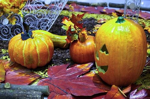Pumpkins